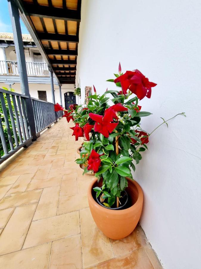 Apartamento Con Patio Sevillano Luaran gambar